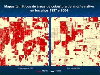 Mapas temáticos de áreas de cobertura del monte nativo
en los años 1997 y 2004
28 de marzo de 1997 5 de julio de 2004
Monte Resto
 