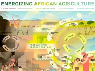 3   mard (novozymes&cleanstar)