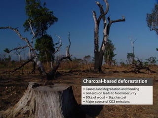 Charcoal-based deforestation
• Causes land degradation and flooding
• Soil erosion leads to food insecurity
• 10kg of wood = 1kg charcoal
• Major source of CO2 emissions
 