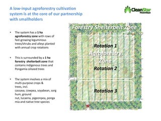 A low-input agroforestry cultivation
system is at the core of our partnership
with smallholders
Rotation 1
• The system has a 1 ha
agroforestry zone with rows of
fast-growing leguminous
trees/shrubs and alleys planted
with annual crop rotations
• This is surrounded by a 1 ha
forestry shelterbelt zone that
contains indigenous trees and
Pongamia oilseed trees
• The system involves a mix of
multi-purpose crops &
trees, incl.
cassava, cowpea, soyabean, sorg
hum, ground
nut, lucaena, pigeonpea, ponga
mia and native tree species
Forestry Shelterbelt Zone
Rotation 2
Rotation 3
Agroforestry
Zone
 