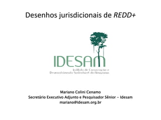 Desenhos jurisdicionais de REDD+ 
REDD+ 
Mariano Colini Cenamo 
Secretário Executivo Adjunto e Pesquisador Sênior - Idesam 
mariano@idesam.org.br 
 