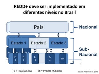 REDD+ deve ser implementado em diferentes níveis no Brasil Programas/Políticas Federais 
Pr1 
Pr 2 
Pr 3 
Iniciativas Estaduais 
Pr = Projeto Local 
Pm = Projeto Municipal 
T 
1 
2 
3 
4 
5 
6 
7 
8 
9 
10 
País 
Pr1 Pr2 
Pr 3 Pr 4 
Pm Estado 1 
Estado 2 
Estado 3 
Nacional Sub- Nacional 
Source: Pedroni et al. 2010  