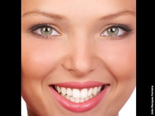 João Marques Ferreira 