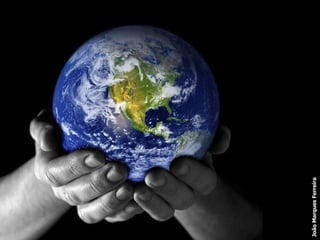 João Marques Ferreira 