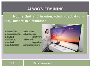 Nouns that end in -sión, -ción, -dad, -tad, -
tud, -umbre are feminine.
ALWAYS FEMININE
13 Para recordar…
la televisión la decisión
la conversación la habitación
la ciudad la universidad
la dificultad la libertad
la actitud la gratitud
la certidumbre la muchedumbre
 