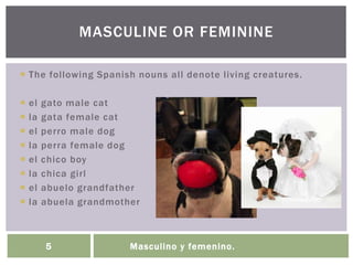 Masculino y femenino.5
 The following Spanish nouns all denote living creatures.
 el gato male cat
 la gata female cat
 el perro male dog
 la perra female dog
 el chico boy
 la chica girl
 el abuelo grandfather
 la abuela grandmother
MASCULINE OR FEMININE
 