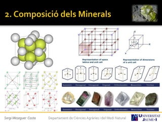 Sergi Meseguer Costa Departament de Ciències Agràries i del Medi Natural
 