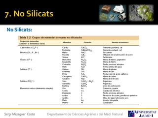 No Silicats:
Sergi Meseguer Costa Departament de Ciències Agràries i del Medi Natural
 