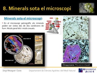 Minerals sota el microscopi:
• En el microscopi petrogràfic els minerals
poden ser vistos des de dos condicions de
llum. Nicols paral·lels i nicols creuats.
Clinopyroxene.This one is in basalt.
Sergi Meseguer Costa Departament de Ciències Agràries i del Medi Natural
 