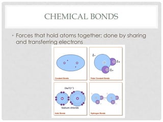 Chemical BondsForces that hold atoms together; done by sharing and transferring electrons