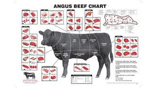 3-Meat Classification & Factors Effecting Meat Quality.pptx