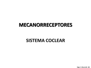 MECANORRECEPTORES

  SISTEMA COCLEAR




                    Edgar H. Murcia M. MV
 