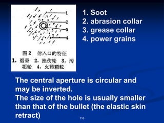 1. Soot
2. abrasion collar
3. grease collar
4. power grains
116
The central aperture is circular and
may be inverted.
The size of the hole is usually smaller
than that of the bullet (the elastic skin
retract)
 