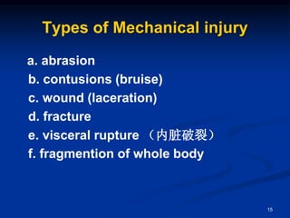 Types of Mechanical injury
a. abrasion
b. contusions (bruise)
c. wound (laceration)
d. fracture
e. visceral rupture （内脏破裂）
f. fragmention of whole body
15
 