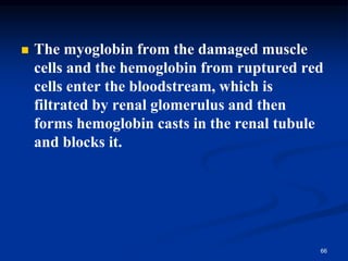 ◼ The myoglobin from the damaged muscle
cells and the hemoglobin from ruptured red
cells enter the bloodstream, which is
filtrated by renal glomerulus and then
forms hemoglobin casts in the renal tubule
and blocks it.
66
 