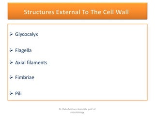 Medical microbiology | PPTX