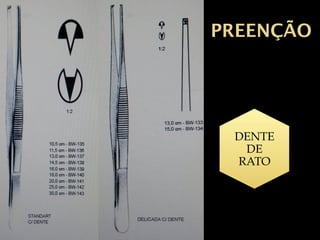 PREENÇÃO
DENTE
DE
RATO
 