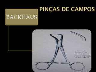 PINÇAS DE CAMPOS
BACKHAUS
 