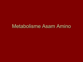 Metabolisme Asam Amino
 