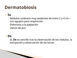 Sx
◦ Nódulos cutáneos muy evidentes de entre 2 a 4 cm –
con agujero para respiración
◦ Dolorosos a la palpación
◦ Llenos de pus
 Dx
EL Dx es sencillo tras la observación de los nódulos, la
extirpación y observación de las larvas
Dermatobiosis
 