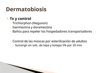  Tx y control
◦ Trichlorphon (Neguvon)
◦ Ivermectina y doramectina
◦ Baños para repeler los hospedadores transportadores
◦ Control de las moscas por esterilización de adultos
 Sumergir en solc. de tepa y tiotepa 5% por 20 min.
Dermatobiosis
 