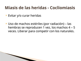  Evitar y/o curar heridas
 Uso de machos estériles (por radiación) – las
hembras se reproducen 1 vez, los machos 4 – 5
veces. Liberar para competir con los naturales.
Miasis de las heridas - Cocliomiasis
 