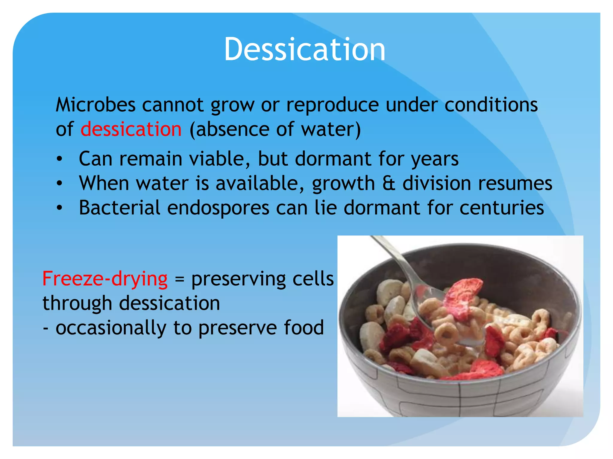 Dessication
Microbes cannot grow or reproduce under conditions
of dessication (absence of water)
• Can remain viable, but dormant for years
• When water is available, growth & division resumes
• Bacterial endospores can lie dormant for centuries
Freeze-drying = preserving cells
through dessication
- occasionally to preserve food
 