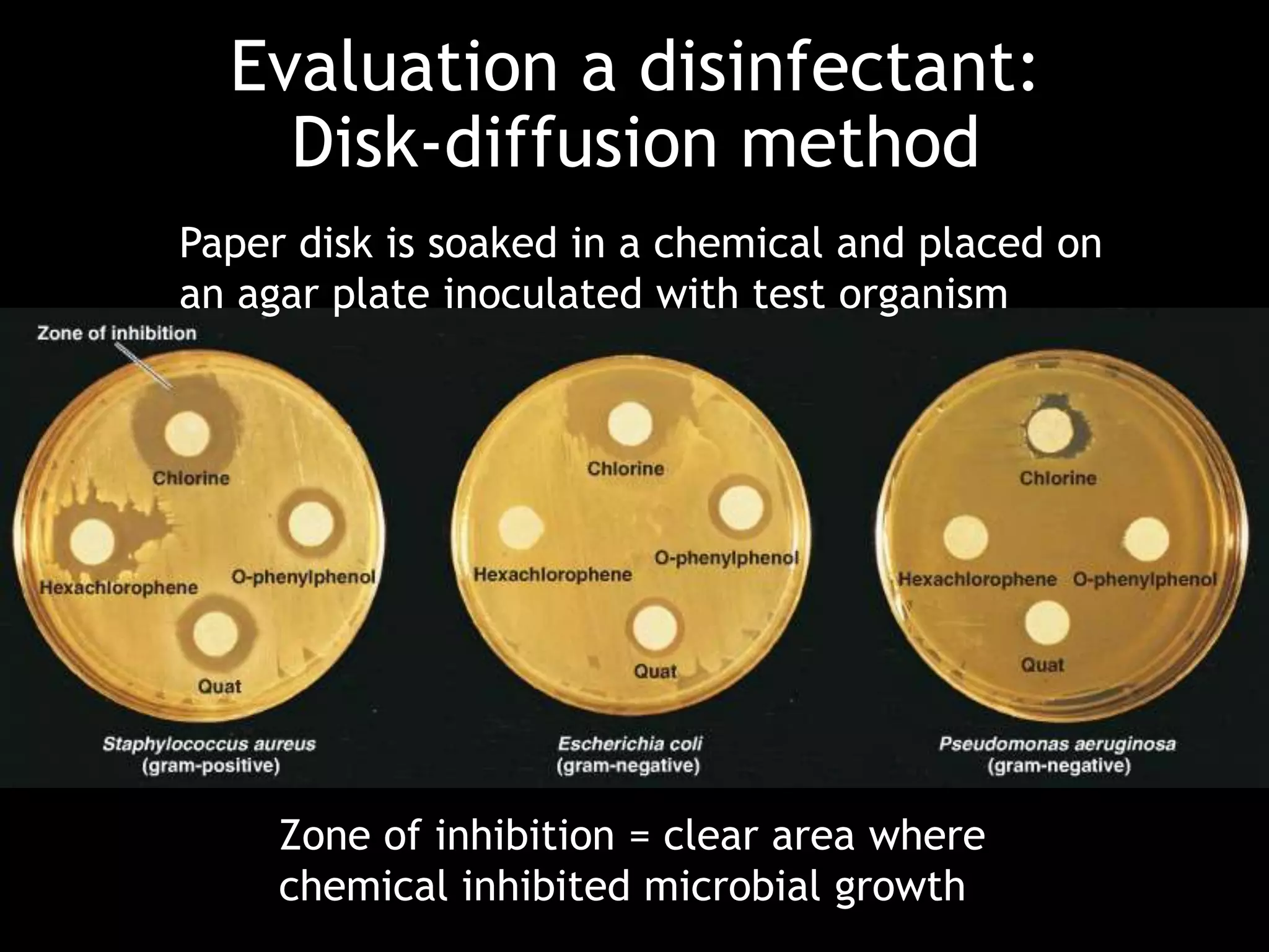 Evaluation a disinfectant:
Disk-diffusion method
Paper disk is soaked in a chemical and placed on
an agar plate inoculated with test organism
Zone of inhibition = clear area where
chemical inhibited microbial growth
 