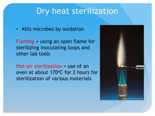 3 - Microbial Growth | PPTX