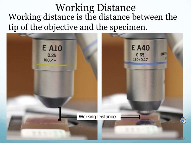 Working Distance Microscope : Light microscope objective lenses – OZIEH