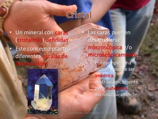 3. Los minerales