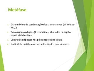 Metáfase
1. Grau máximo de condensação dos cromossomos (visíveis ao
M.O.)
2. Cromossomos duplos (2 cromátides) alinhados na região
equatorial da célula.
3. Centríolos dispostos nos pólos opostos da célula.
4. No final da metáfase ocorre a divisão dos centrômeros.
 