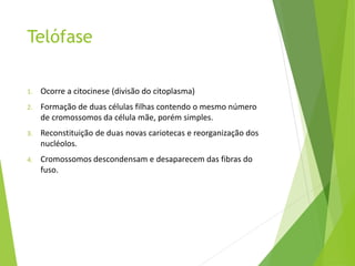 Telófase
1. Ocorre a citocinese (divisão do citoplasma)
2. Formação de duas células filhas contendo o mesmo número
de cromossomos da célula mãe, porém simples.
3. Reconstituição de duas novas cariotecas e reorganização dos
nucléolos.
4. Cromossomos descondensam e desaparecem das fibras do
fuso.
 
