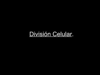 División Celular .   