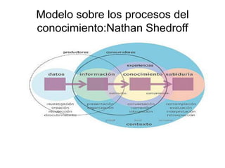 Modelo sobre los procesos del
conocimiento:Nathan Shedroff
 