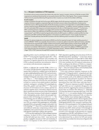REVIEWS

                        Box 2 | Receptor-modulators of TLR responses
                        In contrast to the accessory proteins described in the main text, ‘passive’ receptor cofactors of Toll-like receptor (TLR)
                        responses are membrane bound and do not necessarily interact with TLRs or their ligands. These receptors modulate
                        TLR functions by passively delivering TLR agonists to their receptors as a result of intracellular trafficking.
                        B cell receptor
                        Antigen recognition through the B cell receptor (BCR) triggers the B cell responses required for an adaptive immune
                        response. Immune complexes comprised of IgG and chromatin extracts induce the proliferation of autoreactive
                        B cells that express a BCR specific for IgG; this B cell activation was shown to be dependent on myeloid differentiation
                        primary-response protein 88 (MYD88) and was blocked by TLR9 inhibitors51. In addition, immune complexes containing
                        CG‑rich mammalian DNA sequences activated autoreactive B cells in a TLR9‑dependent manner92,93. Furthermore,
                        RNA-containing immune complexes can trigger TLR7 activation through a similar mechanism94. BCR ligation has
                        been shown to affect the trafficking of TLR9. BCR stimulation leads to TLR9 trafficking to an autophagosome-like
                        compartment95, and TLR9 activation by ligands delivered by the BCR results in a different cytokine profile from that
                        induced by CpG DNA-mediated TLR9 stimulation in the absence of a BCR stimulus96. Future studies should aim to
                        clarify the crosstalk pathways that link BCR activation with the trafficking and/or activation of TLRs in B cells.
                        RAGE
                        Receptor for advanced glycation end-products (RAGE) was the first reported receptor for high-mobility group box 1
                        protein (HMGB1)97. RAGE was originally characterized as a receptor for adducts of proteins, lipids and nucleic acids that
                        are produced non-enzymatically in highly oxidative environments. RAGE ligation leads to nuclear factor-κB (NF-κB)
                        activation and pro-inflammatory cytokine production, which is self-sustained and therefore dysregulated98. RAGE
                        was shown to modulate TLR9 functions in plasmacytoid dendritic cells, in which the addition of HMGB1 potentiated
                        CpG-induced production of interferon-α in a RAGE-dependent manner49. Whether HMGB1 loaded with RNA can
                        trigger TLR3 or TLR7 responses through RAGE remains to be determined.


                       signalling defect may be attributed to the inability of              TRIF-dependent signalling and, at low doses of LPS, for
                       CD36C464S to be properly targeted to lipid rafts27. Thus,            MYD88‑dependent signalling 13,34. It has been shown
                       fine-tuning of CD36‑mediated TLR assembly and                        that CD14 can chaperone LPS from LBP to TLR4­–MD2
                       responses to ligands depend on the localization of                   at the cell surface, and new evidence demonstrates that
                       CD36 to plasma membrane microdomains, where it                       CD14 also mediates the LPS-induced endocytosis of
                       can interact with downstream components.                             TLR4, resulting in the delivery of TLR4 to a compart-
                                                                                            ment from which it can engage TRIF-dependent signal-
                       CD14: a cofactor for several TLRs. CD14 is a                         ling 34–37. Thus, for TLR4 activation, CD14 facilitates both
                       375‑amino-acid glycoprotein composed of leucine-rich                 ligand delivery and TLR4 endocytosis.
                       repeats that is present in a soluble form in the blood or                CD14 also enhances immune responses to the
                       as a glycosylphosphatidylinositol (GPI)-anchored mem-                endosomal TLR ligands polyI:C, imiquimod and CpG
                       brane protein on myeloid cells. CD14 interacts with                  DNA28,30. CD14 probably promotes the general internali-
                       multiple TLR ligands and enhances their ability to acti-             zation of nucleic acids, as the addition of soluble CD14
                       vate TLRs (FIG. 1). Direct binding studies using recom-              increased the internalization of polyI:C by Chinese
                       binant CD14 show that CD14 has the unusual ability                   hamster ovary (CHO) cells, and Cd14–/– macrophages
                       to bind to a variety of microbial products (and their                internalized less CpG DNA than wild-type macro­
                       synthetic analogues), including LPS, peptidoglycan,                  phages28,30. However, responses to polyI:C, imiquimod
                       Pam3CSK4, polyI:C and CpG DNA14,28–31. The crystal                   and CpG DNA are not completely abrogated in the
                       structure of CD14 shows it to be a dimer, and the two                absence of CD14, suggesting the existence of additional
                       subunits together form a horseshoe-shaped structure                  factors that can mediate their delivery 28,30. Although
                       that is reminiscent of the structure of the ectodomains of           CD14 has been shown to associate with TLR3, TLR7 and
                       TLRs. The amino terminus of each subunit is equipped                 TLR9 (REFS 28,30), it is unclear whether CD14 mediates
                       with a hydrophobic pocket, which is the principal com-               the trafficking of these endosomal TLRs, as it does for
                       ponent of the LPS-binding site in CD14 (REF. 32). The                TLR4, or whether it just mediates ligand trafficking.
                       CD14 binding sites for different TLR ligands appear to                   Reflecting its ability to bind to diverse ligands, CD14
                       overlap, as LPS can compete with DNA and peptidogly-                 also mediates TNF production in response to the TLR2–
                       can, LTA can compete with peptidoglycan, and double-                 TLR6 ligands MALP2, LTA, zymosan A and Pam2CSK4.
                       stranded DNA can (partially) compete with polyI:C for                Moreover, CD14 participates in TLR-mediated immune
                       CD14 binding 14,28,30. How CD14 can bind to ligands with             responses to various viruses, including respiratory
                       such different molecular compositions remains to be                  syncytial virus (RSV; which activates CD14 through its
                       established, and crystal structures of CD14 in complex               fusion protein), vesicular stomatitis virus (VSV; which
                       with ligands would help to address this question.                    activates CD14 through its glycoprotein G), human
                           CD14 was first implicated in TLR4‑mediated immune                cytomegalovirus (HCMV) and influenza A virus13,28,38–40.
                       responses. At doses of LPS or Gram-negative bacte-                   How exactly CD14 is involved in these processes remains
                       ria that kill wild-type mice, Cd14–/– mice survive and               to be determined but, as shown for LPS and nucleic
                       produce negligible amounts of TNF and interleukin‑6                  acids, CD14 may mediate the interaction of ligands with
                       (IL‑6)33. In response to LPS, CD14 is required for                   several TLRs.


NATURE REVIEWS | IMMUNOLOGY	                                                                                          VOLUME 12 | MARCH 2012 | 171

                                             © 2012 Macmillan Publishers Limited. All rights reserved
 