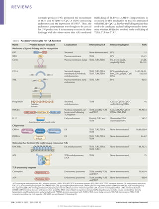 REVIEWS

                              normally produce IFNs, promoted the recruitment                         trafficking of TLR9 to LAMP2 + compartments is
                              of IRF7 and MYD88 to CpG‑A ODN-containing                               necessary for IFN production by BMDMs stimulated
                              endosomes and the expression of IFNs 78. Thus, the                      with DOTAP–CpG‑A. Further trafficking studies thus
                              endosomal compartment was thought to be crucial                         need to be conducted to clarify this point and to deter-
                         BPI1 for BPI2 production. It is necessary to reconcile these
                                  IFN                                                                 mine whether AP3 is also involved in the trafficking of
                       BPI1
                       BPI1    BPI2
                               BPI2
                              findings with the observation that AP3‑mediated                         TLR3, TLR4 or TLR7.
                   BPI1 BPI1    BPI2 BPI2
                        BPI1 MLBPI2 ML
                             BPI1ML BPI2
 Table 2 | AccessoryMLBPI1ML BPI2 TLR function
                            moleculesBPI2
                            BPI1             for
 Name                          ML domain structure
                        Protein ML                                   Localization                    Interacting TLR        Interacting ligand                     Refs
                              BPI1         BPI2
                                   ML
 Mediators of ligand deliveryML BPI2 recognition
                              BPI1 and/or
                              BPI1         BPI2
 LBP                          BPI1
                                      ML
                                           BPI2                      Secreted                        None demonstrated LPS                                           12
                                      ML
 MD2                                  ML                             Plasma membrane                 TLR4                   LPS                                  19–21
                      LRR1            ML LRR11 LRR11
 CD36              LRR1
                   LRR1                      LRR11                   Plasma membrane, Golgi TLR2, TLR4, TLR6                FSL1, LTA, oxLDL,                     23,26,
             LRR1 LRR1                    LRR1
                                      LRR11 LRR11                                                                           amyloid-β fibrils                   99–101
                         LRRNT        LRR1
                                      LRR1
                 LRR1 LRRNT
                      LRRNT LRR1 LRR11
                      LRR1
                LRRNTLRRNT               LRR1LRR11
                     LRR1
                        LRR1         LRR1 LRR11
 CD14               LRRNTLRR12            LRR1 LRR11                 Secreted, plasma                TLR2, TLR3, TLR4,      LPS, peptidoglycan,            14,23,29–31,
                         LRRNT
                         LRR12
                         LRR12
                          LRRCT          LRR1
                                            LRR1                     membrane (GPI-linked),          TLR7, TLR8, TLR9       Pam3CSK4, polyI:C, CpG             102,103
                        LRRNT
                        LRR1
                   LRR12LRRNT
                       LRRCT                     LRR11
                       LRRCT
                        LRR1LRR12                LRR11               endolysosomes                                          DNA
                        LRR1
                 LRRCTLRRCT
                       LRR12                LRR1 LRR11
 TRIL                   LRR1LRR12
                           LRRNT            LRR1 LRR11
                                                                     Plasma membrane, early TLR3, TLR4                      LPS                                   41,42
                      LRRCTLRRNT
                           LRR12            LRR1                     endosomes
                          LRRCT
                              LRR12
                           LRRNT
                         LRRCT
                            LRRCT           LRR1
                           LRRNT
                              LRR12
                        P G LRR12 A C D E
                                F B
                             FLRR12
                        G LRRCT
                     P Granulin A C D E
                             F B
                     P G LRRCT A C D E
                                 B
                              LRR12
                       F GLRRCT
               P GGranulin F B A C D E
                     Granulin A C D E
                       P B
                        domain
                     domain
               Granulin F B A C D E
                       G LRRCT
                   Pdomain
                       Granulin
               domainP G F B A C D E
                       domain
                   Granulin
 ProgranulinHMG boxPA GF HMGA AboxD DE Acidic tail
                 HMGGranulinFBHMG C C B
                          G
                       P box
                   domain A           B                E             Secreted,                       TLR9                   CpG-A, CpG-B, CpG-C                      45
                       GranulinHMG box B Acidic tail
               HMG box Adomain
                          Granulin box B Acidic tail                 endolysosomes                                          and inhibitory ODNs
         HMG box Adomain box B box B Acidic tail
                            HMG
                 HMG box G F HMGA Acidic tail
                          P A
                          domain B             C D E
             HMG box A G HMGB A B C Acidic tail        E
                          Granulin B A C D E
                          P       F box
 HMGB1           HMG boxG F HMG box B D Acidic tail
                          P A
                          Granulin                                   Nucleus, cytoplasm, can TLR9, possibly TLR3 CpG-A ODNs, CpG-B                             48,49,53
                          domain
                          Granulin
                       AmphipathicHMG CB D EAcidic tail be secreted following
                 HMG box G AF HMGA box B Acidic tail
                          P A               box
                    HMGdomain Bhelix-bend-helix
                           box
                          domain
                                                                                                     and TLR7               ODNs, DNA, RNA
                   Amphipathic helix-bend-helix
                          Granulin
                    Amphipathic helix-bend-helix                     TLR ligation
 LL37               HMGdomain HMG box
              Amphipathic helix-bend-helixB Acidic tail Early endosomes
                           box A
                      Amphipathic HMG box B Acidic tail
                                       helix-bend-helix                                              Possibly TLR7 and      Mammalian DNA,                        54,57
                    HMG box A
                  Amphipathic helix-bend-helix Acidic tail
                    HMG box A          HMG box B                                                     TLR9                   mammalian RNA
                       AmphipathicCharged
                  ATP-binding           helix-bend-helix
                                                       Dimerization
               ATP-binding A Chargedbox B Dimerization
                    HMG box Charged    HMG
                      Amphipathic domain
                                       helix-bend-helixdomaintail
                                                        Acidic
 Chaperones domain Charged helix-bend-helix
               ATP-binding
               domain
          ATP-binding
                         Amphipathic                 Dimerization
                                                    domain
                                   domain Dimerization
               domain
                 ATP-binding       domain
                                      Charged        domain
                                                       Dimerization
 GRP94 domain    domain  Amphipathic  domaindomain
             ATP-binding domain helix-bend-helix
                                  Charged              domain
                                                   Dimerization      ER                              TLR1, TLR2, TLR4,      None demonstrated               58,60,62,64
                         Amphipathic helix-bend-helix
                  ATP-binding domain       Saposin Dimerization
                                       Charged domain
             domain Amphipathic helix-bend-helix                                                     TLR9
                  domain
                 ATP-binding
                    ATP-binding Chargeddomain
                                       Saposin
                                           B-type
                                        Saposin        domain
                                         Charged Dimerization
                                                         Dimerization
 PRAT4A          domain  Amphipathicdomain
                    domain Saposin        helix-bend-helix
                                      domain
                                       B-type
                                        B-type        domain
                                                         domain      ER                              TLR1, TLR2, TLR4,      None demonstrated                    64–67
                                          Saposin
                                  B-typeB-type
                    ATP-binding Saposin  Charged         Dimerization                                TLR9
                    ATP-binding
                    domain               Charged
                                           Saposin
                                         domain          Dimerization
                                                         domain
 Molecules that ATP-binding B-type
                    facilitate           Charged
                                         domain
                                           B-type
                                          Saposin
                                                         Dimerization
                    domain the trafficking of endosomal TLRs
                                                         domain
                    domain
                    ATP-binding              Saposin Dimerization
                                         domain
                                         Charged         domain
                          N               B-type
                                             B-type     C
 UNC93B1            domain               domain C domain             ER, endolysosomes               TLR3, TLR7, TLR8,      None demonstrated                  68,70,71
                       N
                       N                     Saposin C
                                             Saposin C
                                                                                                     TLR9, TLR13
                 N        N                      C
                                             B-type
                                             Saposin
                                             B-type
                      N                      B-type C
 AP3                      N                  Saposin C               TGN, endolysosomes,             TLR9                   None demonstrated                        75
                          NN                 B-type C                LROs
                                          µ3A             C
                                       δ
                                       µ3A β3A
                                   δ µ3A β3A
                                   δ       σ3β3A
                             N µ3A β3A   µ3A              C
                             Nδ       δ σ3 β3A
                                        σ3                C
                             N σ3µ3A                      C
 TLR-processing enzymes δ                  β3A
                                          µ3A
                                           σ3
                             N         δ       β3A        C
                                      σ3µ3A µ3A C1
 Cathepsins                           δ δ σ3 β3A
                                     Peptidase β3A                   Endosomes, lysosomes            TLR9, possibly TLR3 None demonstrated                     79,80,84
                                  Peptidase C1
                                  Peptidase C1
                                           σ3 σ3                                                     and TLR7
                            Peptidase C1µ3AC1
                                    Peptidase β3A
 AEP                                     δ µ3A
                                    Peptidase C13                    Endosomes, lysosomes            TLR9, possibly TLR3 None demonstrated                        83,84
                                         δ C13
                                Peptidaseµ3A β3A
                                 PeptidaseC1
                                 Peptidaseσ3 β3A
                                         δ C13
                                     Peptidase C1
                           Peptidase C13σ3C13                                                        and TLR7
                                            µ3A
                                   Peptidase C1
                                         δ σ3
                                    Peptidase β3A
                               Peptidase C13 C1
                                       Peptidase
 AEP, asparagine endopeptidase; AP3, adaptor protein 3; BPI1, BPI/LBP/CETP N-terminal domain; BPI2, BPI/LBP/CETP C-terminal domain; ER, endoplasmic reticulum;
                                              σ3
                             Nature Reviews | Immunology
                                    Peptidase C13
 FSL1, S-(2,3-bispalmitoyloxypropyl)-CGDPKHSPKSF; GPI, glycosylphosphatidylinositol; GRP94, glucose-regulated protein of 94 kDa; HMGB1, high-mobility group
 box 1 protein; LBP, LPS-bindingReviewsLPS,C1
                          NaturePeptidase||C13
                          Nature Reviews Immunology
                                     protein; Immunology
                                       PeptidaseC13
                                      Peptidase C1 lipopolysaccharide; LRO, lysosome-related organelle; LRR, leucine-rich repeat; LRRCT, LRR C-terminal domain;
                                       Peptidase
                    Nature Reviews Immunology
 LRRNT, LRR N-terminal domain; LTA,| lipoteichoic acid; ML, MD2-related lipid-recognition domain; ODN, oligodeoxynucleotide; oxLDL, oxidized low-density
                             Nature Reviews | Immunology
                                       Peptidase C1acid; PRAT4A, protein associated with TLR4 A; TGN, trans-Golgi network; TLR, Toll-like receptor; TRIL, TLR4
 lipoprotein; polyI:C, polyinosinic–polycytidylic
                        Nature Reviews | Immunology
                             NaturePeptidase | C1
                                       PeptidaseC13
                                       Reviews Immunology
 interactor with leucine-rich repeats; UNC93B1, uncoordinated 93 homolog B1.
                                      Peptidase C13
                             Nature Peptidase| C13
                                      Reviews Immunology
                               Nature Reviews | Immunology
                                      Peptidase C13
176 | MARCH 2012 | VOLUME 12	Reviews | Immunology
                               Nature                                                                                               www.nature.com/reviews/immunol
                               Nature Reviews | Immunology
                               Nature Reviews | Immunology
                                                             © 2012 Macmillan Publishers Limited. All rights reserved
                               Nature Reviews | Immunology
 
