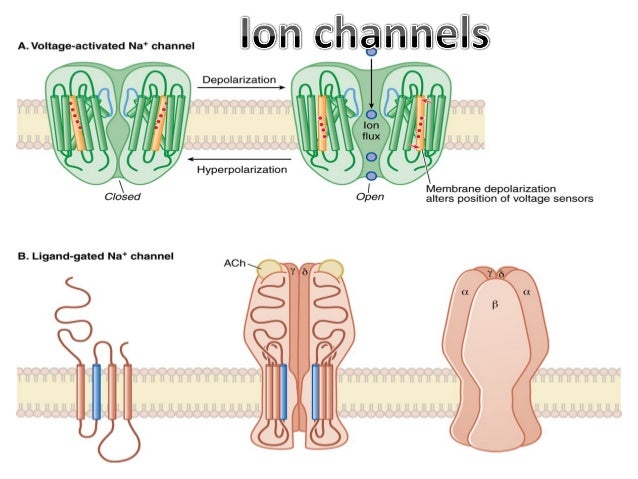 3 Molecular Mech Of Drug Action Presentn - 
