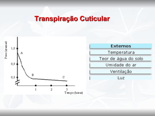    Transpiração Cuticular
 
