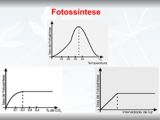 Fotossíntese
 