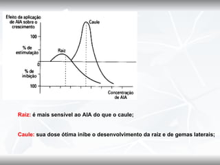 Raiz: é mais sensível ao AIA do que o caule;


Caule: sua dose ótima inibe o desenvolvimento da raiz e de gemas laterais;
 
