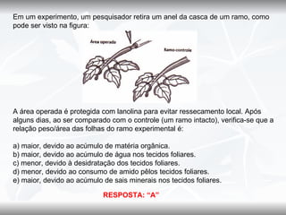 Em um experimento, um pesquisador retira um anel da casca de um ramo, como
pode ser visto na figura:




A área operada é protegida com lanolina para evitar ressecamento local. Após
alguns dias, ao ser comparado com o controle (um ramo intacto), verifica-se que a
relação peso/área das folhas do ramo experimental é:

a) maior, devido ao acúmulo de matéria orgânica.
b) maior, devido ao acúmulo de água nos tecidos foliares.
c) menor, devido à desidratação dos tecidos foliares.
d) menor, devido ao consumo de amido pêlos tecidos foliares.
e) maior, devido ao acúmulo de sais minerais nos tecidos foliares.

                            RESPOSTA: “A”
 