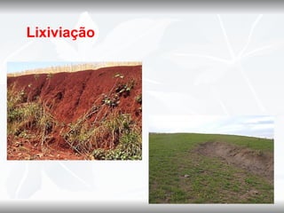 Lixiviação
 