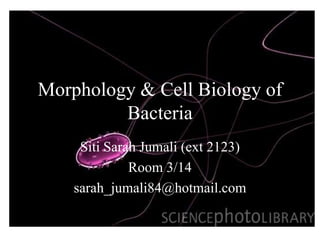Morphology & Cell Biology of Bacteria Siti Sarah Jumali (ext 2123) Room 3/14 sarah_jumali84@hotmail.com 