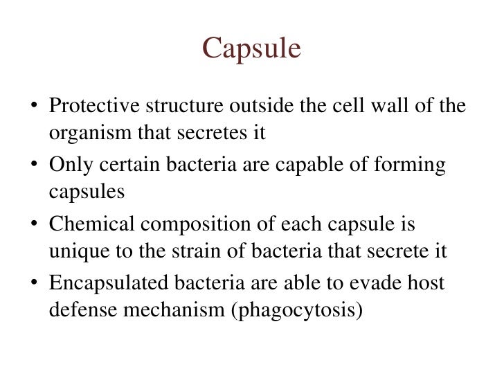 3 morphology & cell biology of bacteria 3 morphology & cell biology of bacteria