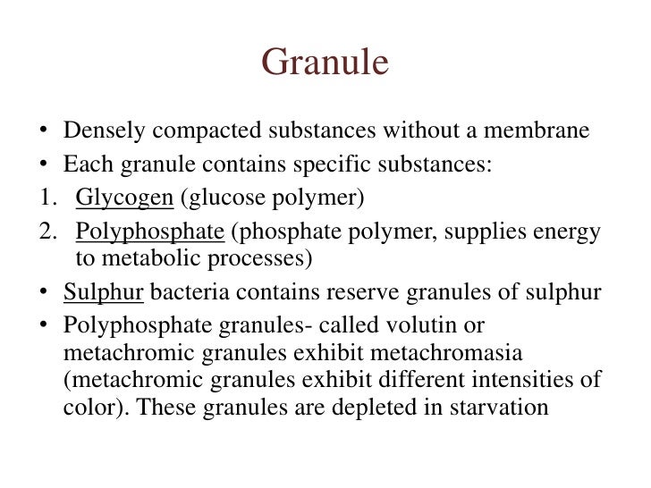 3 morphology & cell biology of bacteria (2)