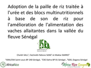 Adoption de la paille de riz traitée à
l'urée et des blocs multinutritionnels
à base de son de riz pour
l'amélioration de l'alimentation des
vaches allaitantes dans la vallée du
fleuve Sénégal

Cheikh SALL1, Fatcheikh Ndione SANE2 et Maktar BARRO3
1ISRA/CRA

Saint-Louis BP 240 Sénégal, 2CRZ Dahra BP 01 Sénégal , 3SDEL Dagana Sénégal

 