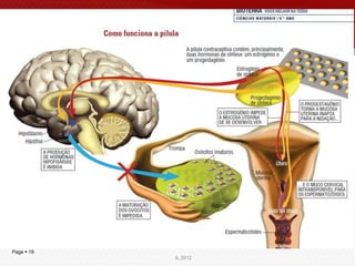 Page  19   IL 2012
               IL 2012
 
