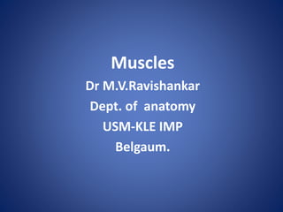 Muscles
Dr M.V.Ravishankar
Dept. of anatomy
USM-KLE IMP
Belgaum.
 