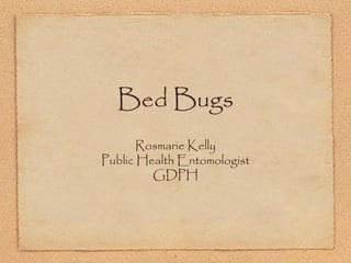 1
Bed Bugs
Rosmarie Kelly
Public Health Entomologist
GDPH
 